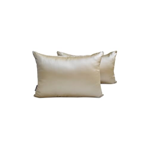 The HomeCentric Lujo champ&aacute;n Funda de coj&iacute;n Lumbar Juego de 2, 30x45 cm Sat&iacute;n Funda de Coj&iacute;n...
