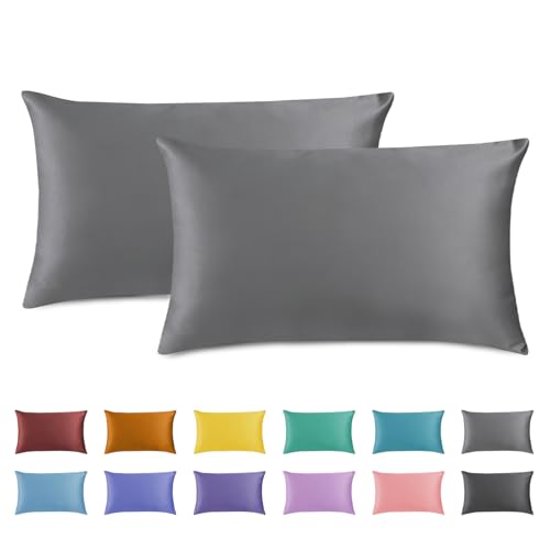 AMFUN 2PCS Fundas de Almohada, 40x60 Funda Almohada con Cremallera, Microfibra cepillada Suave,...