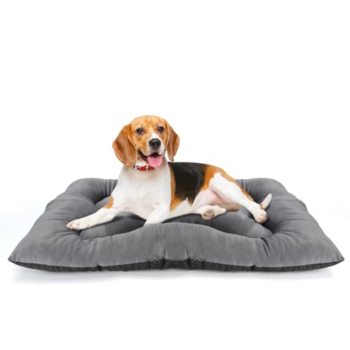 Nobleza Cama para Perro Medianos, Colchoneta para Perros, Coj&iacute;n Suave para Gatos Y Perros, Colch&oacute;n...
