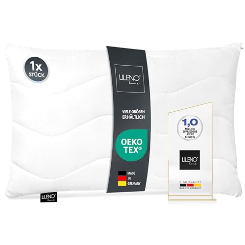 LILENO HOME Almohada de 60 x 80 cm [Juego de 1] - Relleno de Coj&iacute;n Decorativo Con Cremallera...