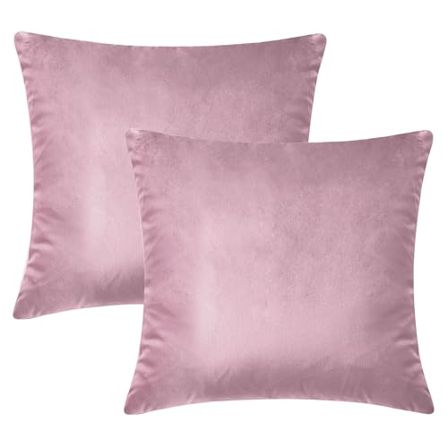 Hafaa Fundas de coj&iacute;n de Terciopelo Rosa de 45 x 45 cm, Fundas de Almohada Decorativas, Juego de 2...