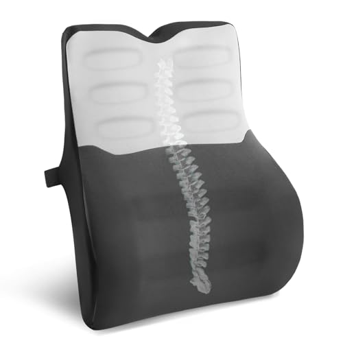 Quirlig Cojin Lumbar Coche, Cojin Lumbar Silla Oficina con Esponja Memoria, Respaldo Lumbar...