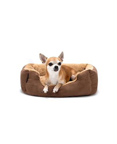 lionto Cama para Perros con coj&iacute;n Reversible y Base Antideslizante, coj&iacute;n para Mascotas con...