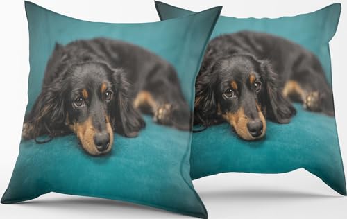 HOME ZEN HOUSEHOLD LINEN Par de funda de coj&iacute;n de decoraci&oacute;n art puppy mide 42 x 42 cm con...
