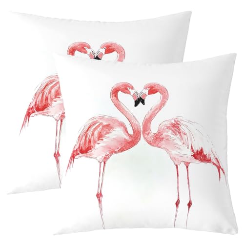 Loussiesd Juego de 2 fundas de coj&iacute;n cuadradas de flamenco, para ni&ntilde;os y ni&ntilde;as, 50 x 50 cm, con...