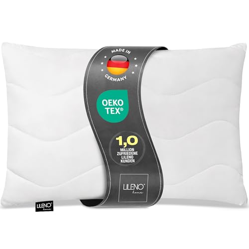 LILENO HOME Almohada de 30 x 40 cm [Juego de 1] - Relleno de Coj&iacute;n Decorativo Con Cremallera...