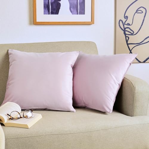 Blumtal Juego de 2 Fundas de Coj&iacute;n de Terciopelo - Coj&iacute;n Decorativo con Cremallera Oculta,...