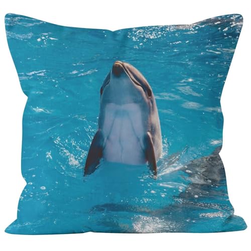 Nimvoya Funda de coj&iacute;n de lino para sof&aacute; de sala de estar al aire libre, funda de coj&iacute;n de 45 x...