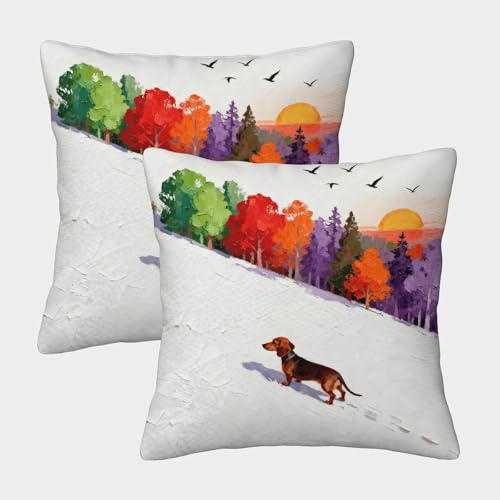WXLWHR Funda De Coj&iacute;n con Perro Salchicha Juego De 2, Microfibra Suave Funda Almohad&oacute;n con...
