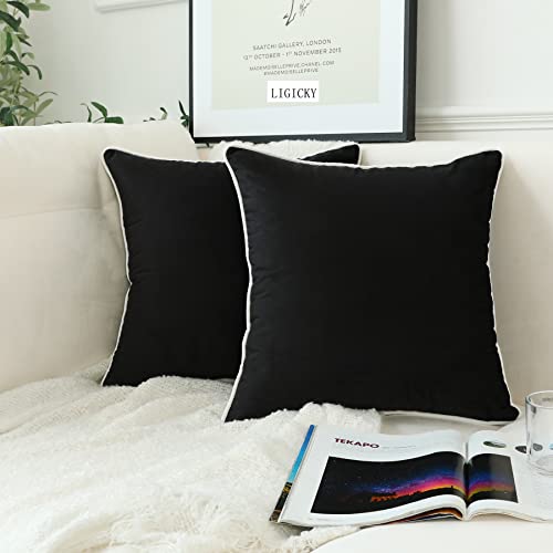 LIGICKY Juego de 2 fundas de almohada de terciopelo negro, estilo minimalista moderno, decorativas...