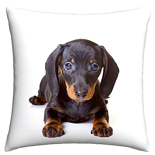 The Beach Stop Funda de cojín decorativa con diseño de perro salchicha | Idea de regalo para...