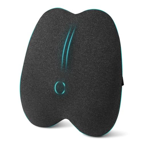 Havnxor Cojin Lumbar Coche Ergon&oacute;mico, Almohada Lumbar Silla Oficina de Espuma Viscoel&aacute;stica,...