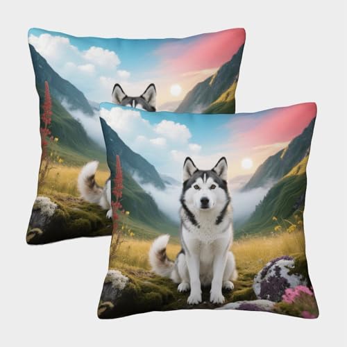 EMYXPAQM Funda De Cojín con Husky Siberiano Juego De 2, Microfibra Suave Funda De Almohada con...