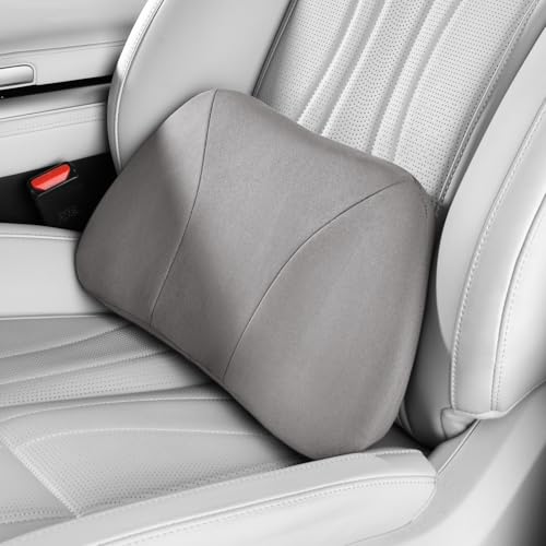 POKSRI cojin lumbar silla oficina/para Coche,Coj&iacute;n para Aliviar el Dolor de Espalda,se Ajusta...