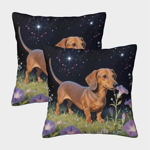 WXLWHR Fundas De Cojines con Perro Salchicha Juego De 2 Funda Almohad&oacute;n Perro Salchicha Flores...