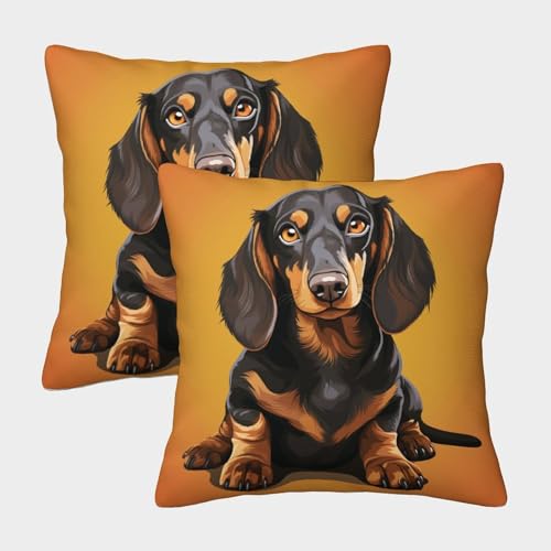 Perro salchicha Funda De Coj&iacute;n Cuadrada Suave DecoRat&oacute;nivo 2 Fundas Funda De Almohada Almohadas...