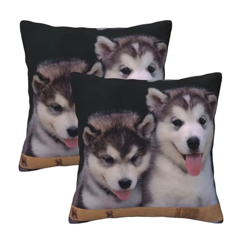 Kfjghhl Husky Dog - Fundas de almohada decorativas para sof&aacute; de granja de 45/50 cm, funda de coj&iacute;n...