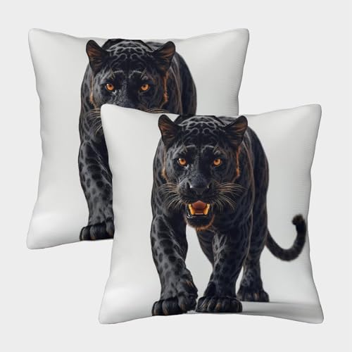 ZHUICHENG Pantera Negra 3D Impresa Funda de Almohada Microfibra Decoraci&oacute;n Dormitorio Funda de...