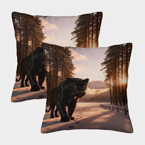 Fundas Cojines con Pantera Negra Juego De 2, Microfibra Suave Funda De Almohada con Cremallera...