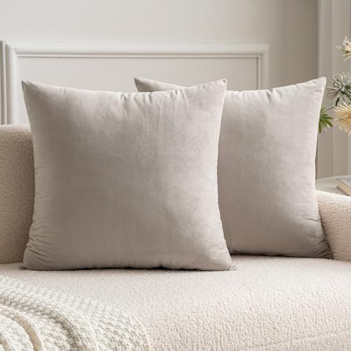 MIULEE 2 Piezas Terciopelo Funda de Cojine Funda de Almohada del Sof&aacute; Throw Coj&iacute;n Decoraci&oacute;n...