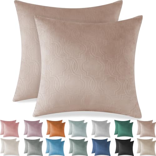 Ystyle Funda Cojin Sofa 60x60 Decorativa Hogar de Terciopelo para Salon Cama Jardin Dormitorio...