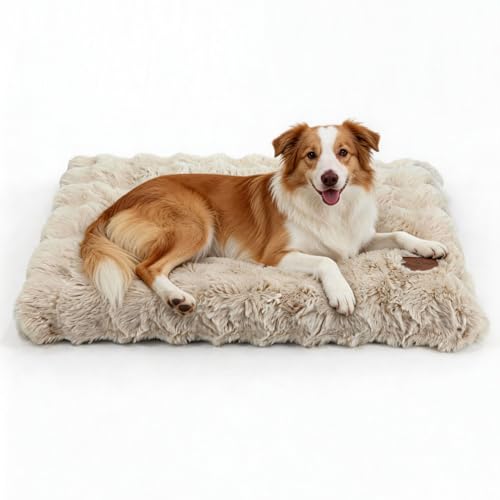 BingoPaw Cama para Perro Grande, 90x60x10cm Camas Perros Grandes Colchon Coj&iacute;n Perro Grande,...