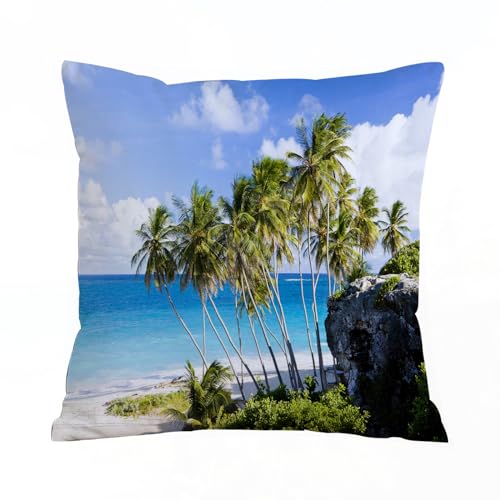 AELKSP Fundas de Coj&iacute;n 50x50 cm,Paisaje Decorativo, Isla caribe&ntilde;a con Palmera y Destino ex&oacute;tico...