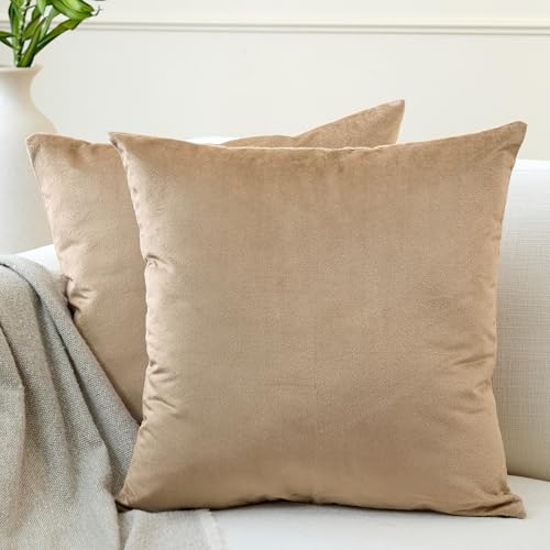 Encasa XO Juego de 2 Fundas de coj&iacute;n DE Terciopelo de (40x40 cm) - Beige - Tinte de Color Plano...
