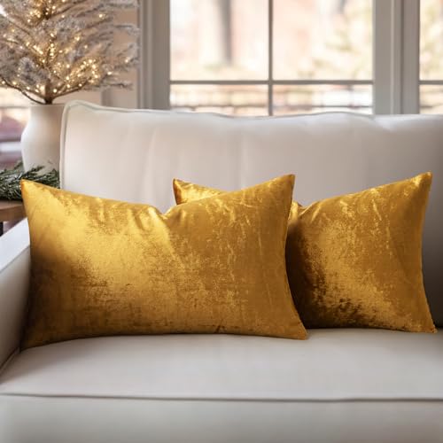 Slozzi 2 Piezas Fundas de Coj&iacute;n de Terciopelo Decorativas 30x50 cm Fundas para Caso de Almohada...