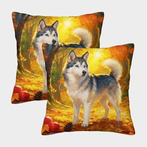 Fundas Cojines con Husky Siberiano Juego De 2, Poli&eacute;ster Suave Funda De Almohada con Cremallera...