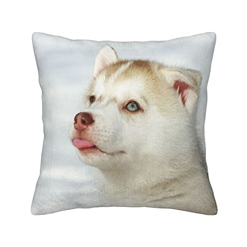 Funda de almohada cuadrada, fundas de coj&iacute;n Husky Piquant Dog 45 cm x 45 cm, funda de almohada para...