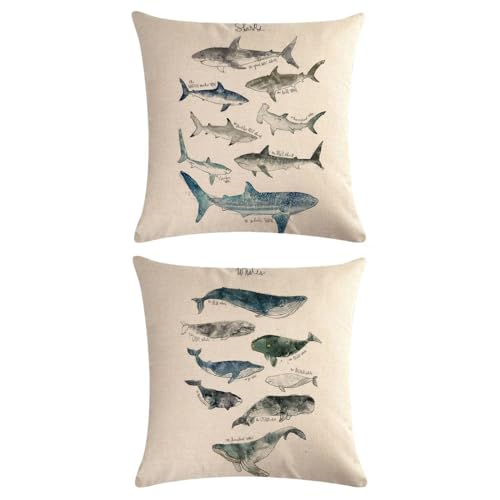 YSJCHEBS 1 Funda De Coj&iacute;n con Motivo De Tibur&oacute;n, 1 Funda De Coj&iacute;n con Motivo De Ballena, Funda De...