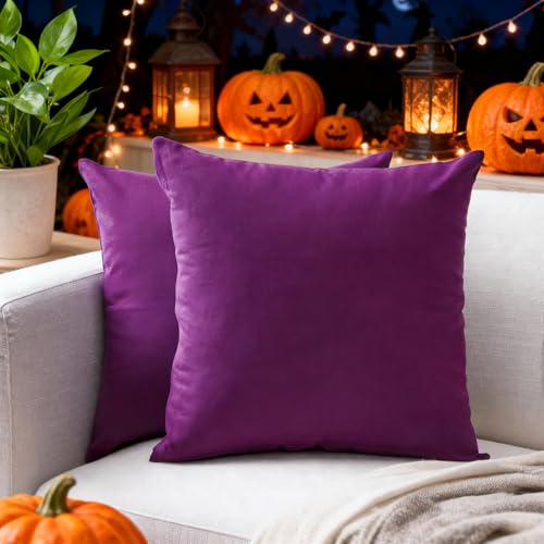 Encasa Conjuntos de Almohadas de algodón de algodón de 2 I 16x16 in (40x40 cm) - Púrpura I No...