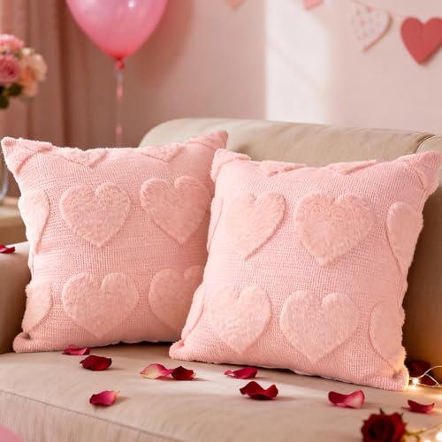 Lanpn 40x40cm Fundas de Coj&iacute;n San Valent&iacute;n Juego de 2, Funda de Almohada Decorativo Peluche...