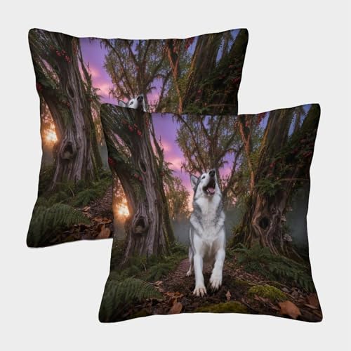 Funda De Coj&iacute;n con Husky Siberiano Juego De 2, Poli&eacute;ster Microfibra Suave Funda De Almohada...