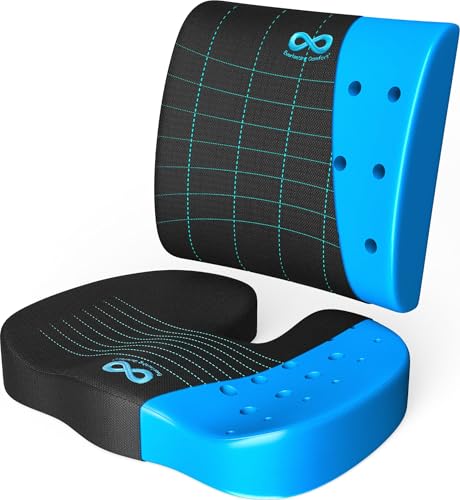 Everlasting Comfort Cojín Silla Oficina – Set de Cojín Viscoelástico para Asiento y Respaldo...