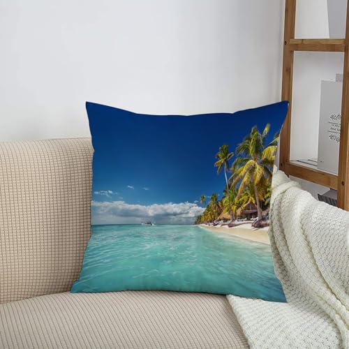 HRRASFAZF Funda de coj&iacute;n de 50 x 50 cm,Funda de Almohada Cuadrada de algod&oacute;n, Coche, Dormitorio,...