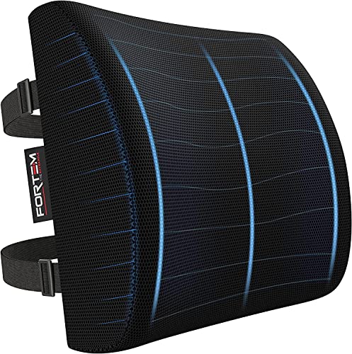 FORTEM Cojín Lumbar Ergonómico para Silla de Oficina, Coche y Gaming, con Espuma Viscoelástica de...