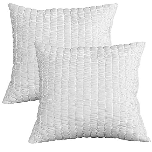 Evergreenweb &ndash; Pack de 2 Almohadas viscoel&aacute;sticas 45x45 cm para Cama o sof&aacute;, Relleno Suave...