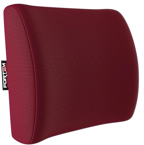 FORTEM Coj&iacute;n Lumbar Ergon&oacute;mico para Silla de Oficina, Coche y Gaming, con Espuma Viscoel&aacute;stica de...