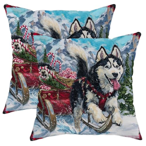 Juego de 2 fundas de coj&iacute;n decorativas de invierno, dise&ntilde;o de trineo de perro Husky, decoraci&oacute;n...