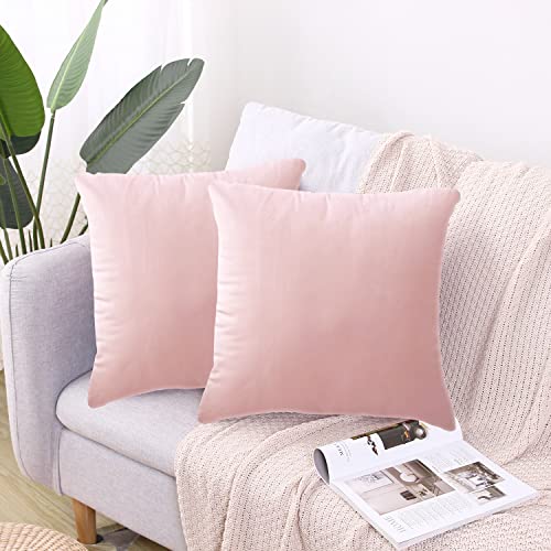 CXTAI 2 Fundas de Coj&iacute;n (Sin Relleno) Sofa Decorativas de Terciopelo Cuadradas 45 x 45 cm Rosa