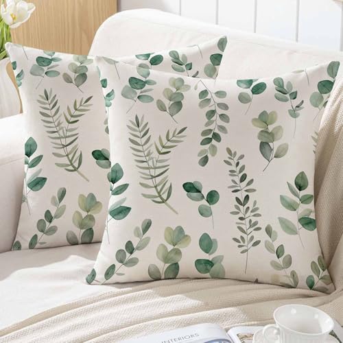 ViaElayu Funda Cojin 50x50 de Primavera Dise&ntilde;o Eucalipto para Sof&aacute; de Exterior con Hojas Verdes...