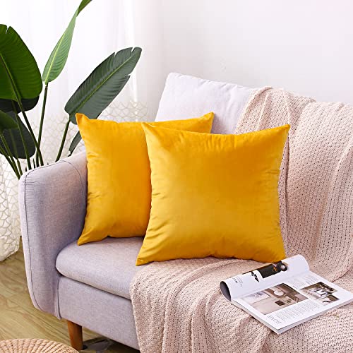 CXTAI 2 Fundas de Coj&iacute;n (Sin Relleno) Sofa Decorativas de Terciopelo Cuadradas 45 x 45 cm Amarillo