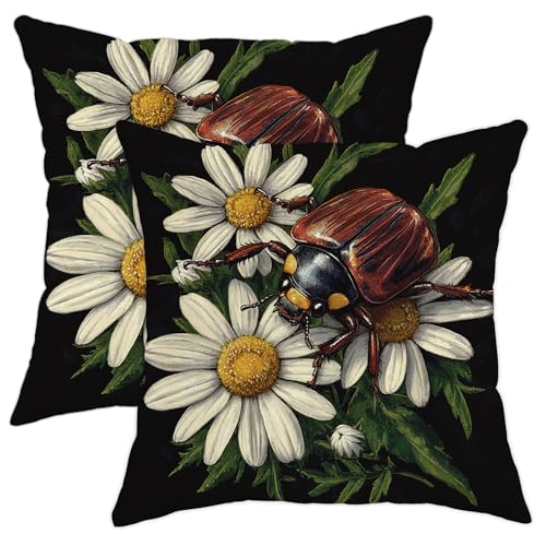 Black Fun Flower Beatle - Juego de 2 fundas de almohada de terciopelo de 18 x 18 pulgadas, c&oacute;modas...