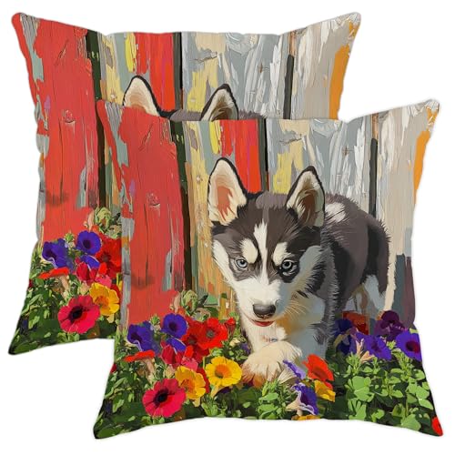Husky - Juego de 2 fundas de almohada con dise&ntilde;o floral colorido, decoraci&oacute;n del hogar de...