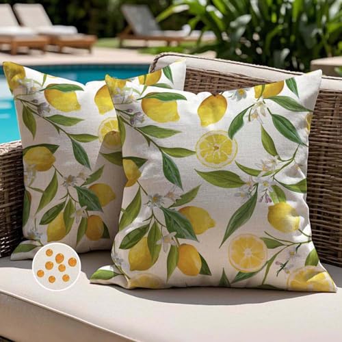 Jayusaror Fundas de Cojine 45x45 Exterior Impermeable con Dise&ntilde;o de Lim&oacute;n Amarillo Moderno...