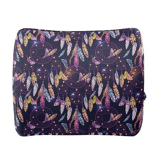 Fansu Coj&iacute;n Lumbar de Silla de Oficina, Patr&oacute;n Atrapasue&ntilde;os Coj&iacute;n de Soporte Lumbar Espuma...